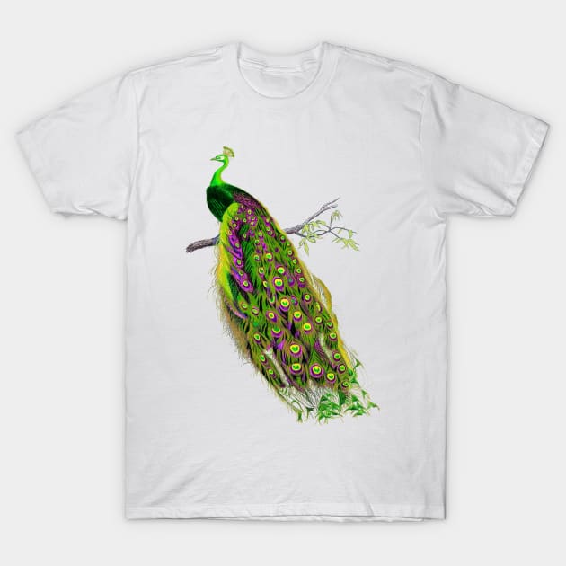 Vintage Peacock, Emerald Green T-Shirt by PixDezines